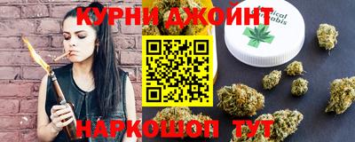 сатива Обнинск