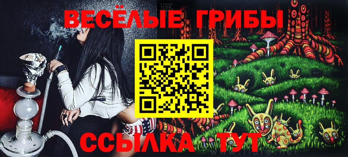 Псилоцибиновые грибы прущие грибы  наркошоп  Тавда  Вход с VPN 